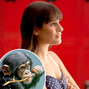 Lea Michele, Chimpanzee Lea Michele, Chimpanzee